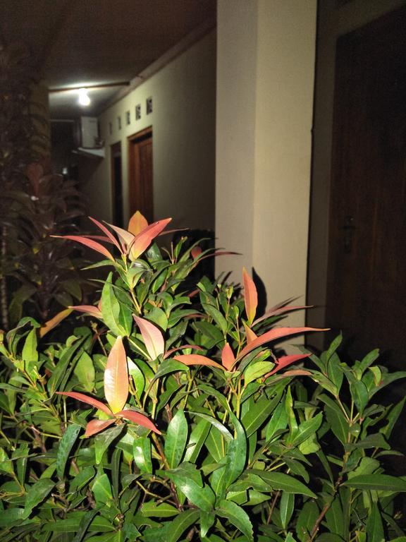 Homestay 77 Borobudur Magelang Exterior photo